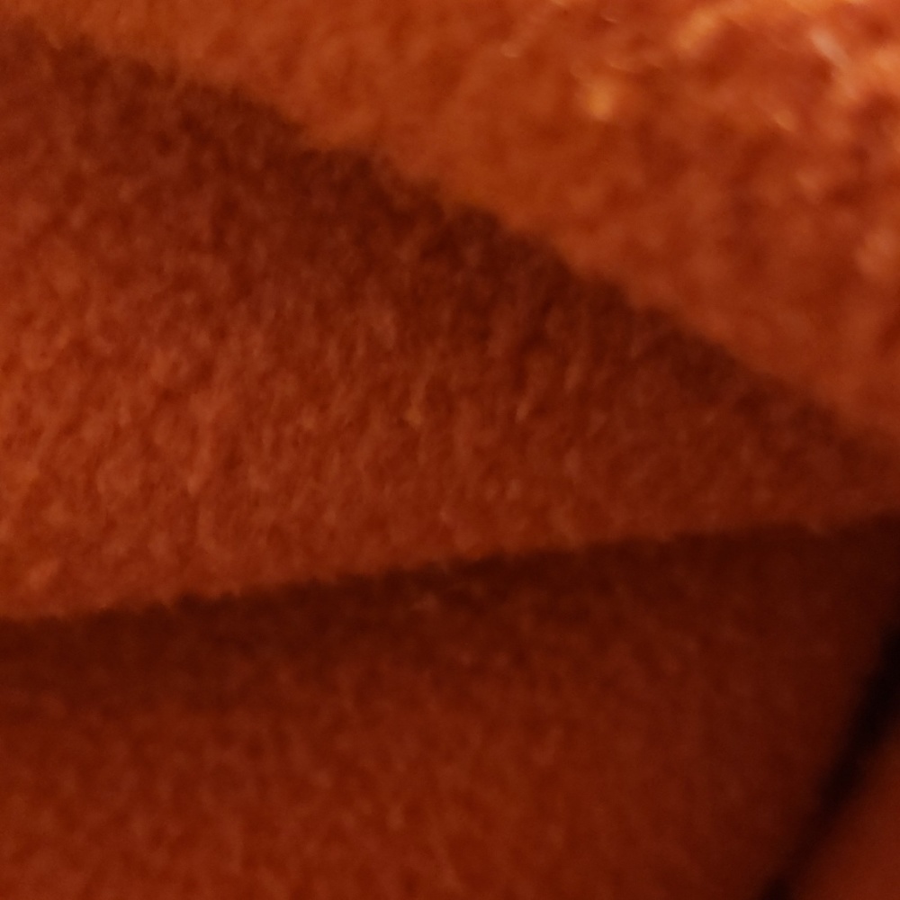 Meet your Posher, Molly